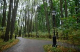 Прогулка в «Соснах» станет комфортнее: в парке проведут работы по улучшению зон отдыха