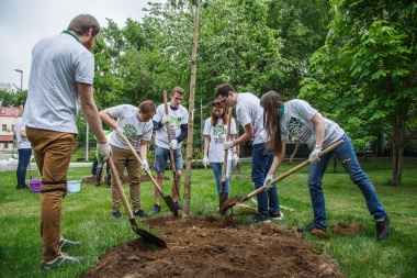 Более 8000 заявок подали жители столицы на участие в проекте «Наше дерево»