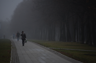 Жителей Новофедоровского предупредили о тумане 