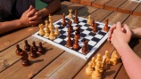 Ход конем: завершился первый этап турнира по шахматам в поселении Новофедоровское