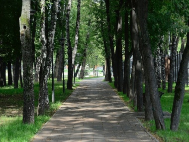 Парк «Сосны» в поселении Новофедоровское обустроен для летнего отдыха 