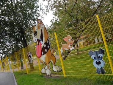 Вакцинацию домашних животных проведут ветеринары в Новофедоровском