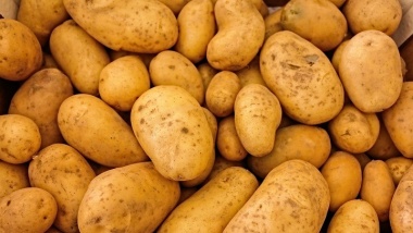 Жители Новофедоровского смогут узнать о полезных картофельных гарнирах