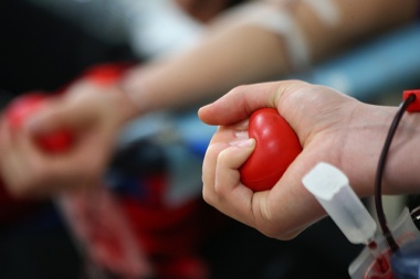 Донор плазмы крови: жителям рассказали о ряде требований для прохождения процедуры