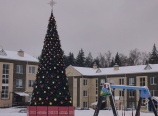 Новогоднюю елку установили в Новофедоровском